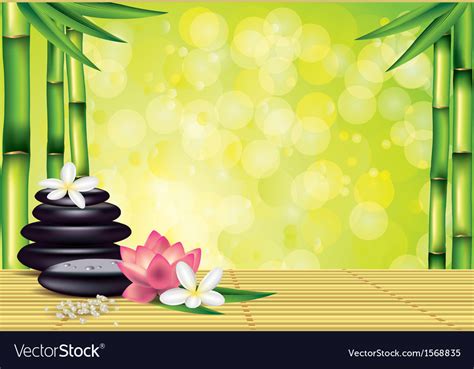 Spa Bamboo Stones Green Background Royalty Free Vector Image