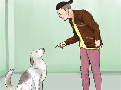 If you're trying to keep your dog from ever barking, think again! How to Stop Your Dog from Barking at Strangers: 11 Steps