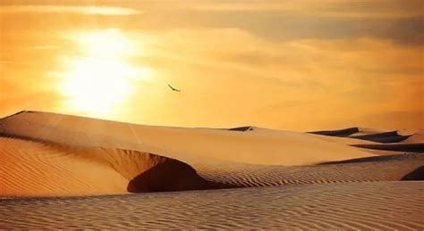 Desierto De Altar El Lugar Más Caluroso Del Mundo Peñasco Digital