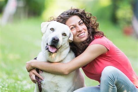19 Life Lessons We Can Learn From A Dog Aspire Magazine
