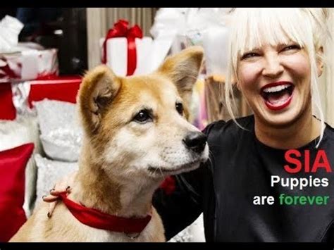 Puppies are forever is a song taken from sia's christmas album, everyday is christmas. Sia - Puppies are forever - YouTube