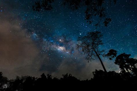 958 Beautiful Milky Way Galaxy Night Sky Forest Park Stock Photos