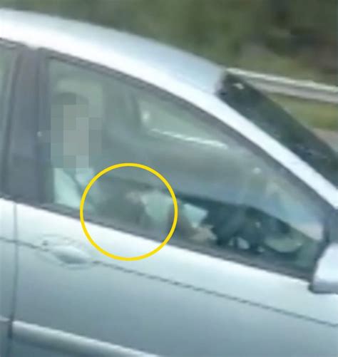 Driver Caught On Camera Receiving A Blow Job From Passenger While Driving On Highway Video
