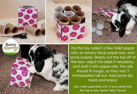 Fun Diy Toy For Rabbits Made With Toilet Paper Rolls And A Tissue Box