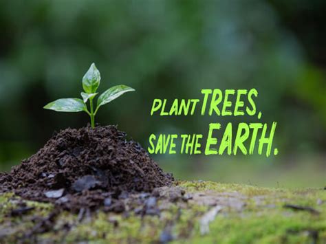 Next on our how to save the environment list: 10+ Save Earth Slogans Posters