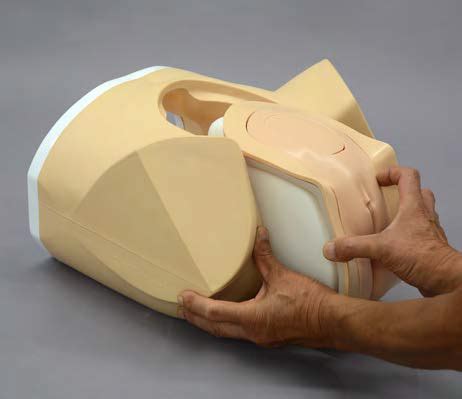 Check spelling or type a new query. Female Pelvic Ultrasound Phantom at Imaging Solutions ...