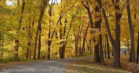 Today, wilson island state recreation area encompasses 544 acres of dense cottonwood stands. Wilson Island State Recreation Area, Iowa DNR