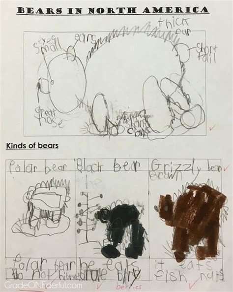 Bears Bears Bears! » Grade Onederful | Bear, Art activities, Grade 1