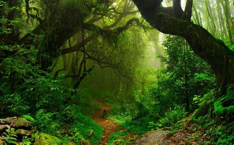 Available in hd, 4k resolutions for desktop & mobile phones. Free download Microsoft release two new nature themed ...