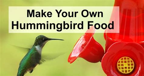 To make hummingbird food, also called nectar, start by mixing 1 part white, granulated sugar with 4 parts warm water. Homemade Hummingbird Nectar (Food Sugar Water Ratio ...
