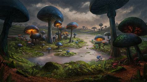 Fantasy Forest Lake Magical Mushroom Hd Wallpaper Peakpx