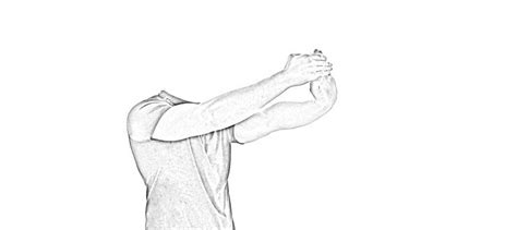 Forearm Stretches 6 Easy And Simple To Improve Mobility