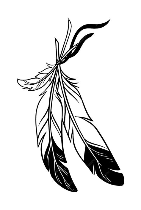 Premium Vector Beautiful Feathers Vector Illustration