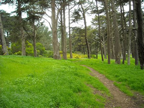 Golden Gate Park Trail Taking A Walk In Golden Gate Park D Flickr