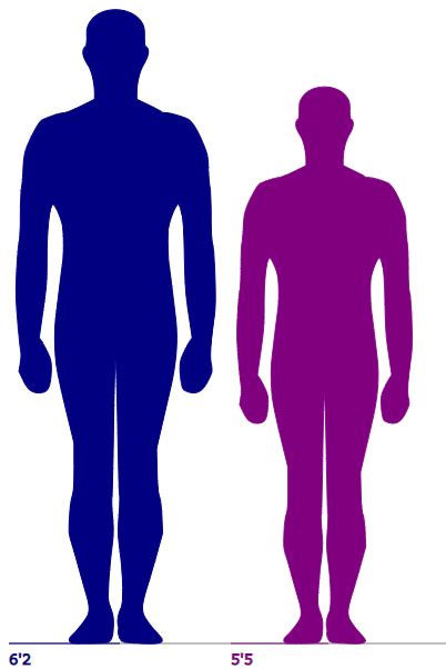 The Height Difference Between A 62 Man And A 55 Man May Not Be As Big