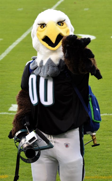 Filephiladelphia Eagles Mascot Swoop Wikimedia Commons