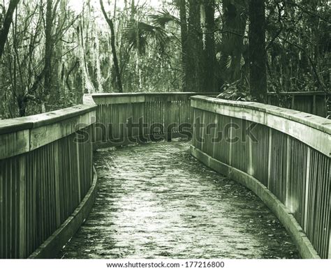 Boardwalk Swamp Stock Photo 177216800 Shutterstock