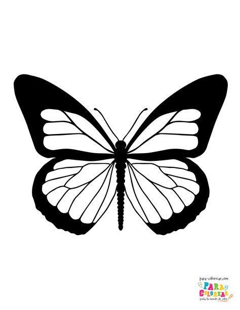 Mariposa Puntas Negras Dibujos De Mariposas Fondos De Pantalla