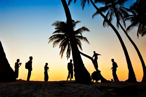 Free Images People On Beach People In Nature Sky Palm Tree Sunset