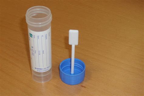 Top 3 How To Collect Stool Sample In 2022 Gấu Đây