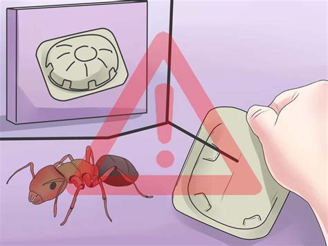 how to stop ants from coming into your home ants home diy