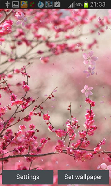 Cherry Blossom By Creative Factory Wallpapers Live Wallpaper For