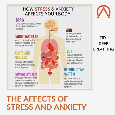 Stress And Anxiety Can Affect All Parts Of Your Body From Yo