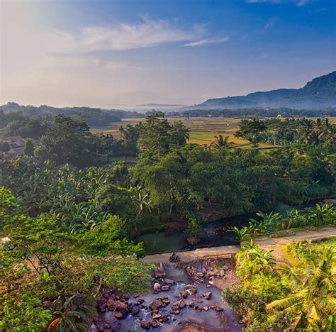 Tropical Green Plantation With Lush Trees Near Mountains At Sundown