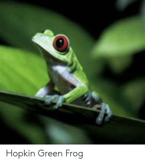 25 Best Memes About Hopkin Green Frog Hopkin Green Frog Memes