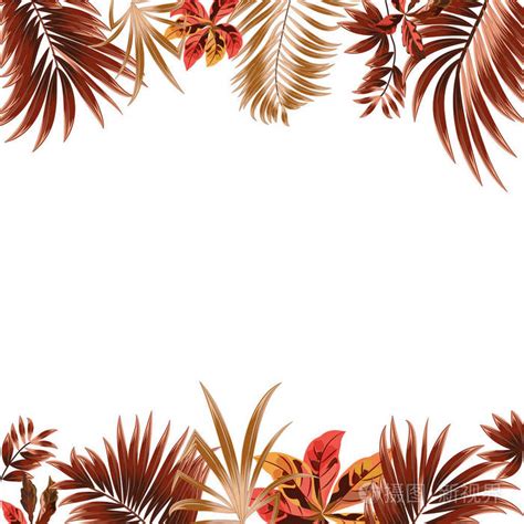 热带丛林矢量背景 框架与棕榈树和叶子插画 正版商用图片0pv95b 摄图新视界