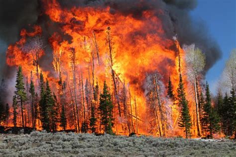 Burning Questions Researchers To Ignite A Utah Forest To Study Fire