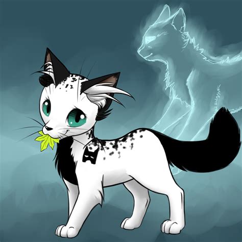 Name Darknose ~ Clan Shadowclan ~ Rank Medicine Cat ~ Gender She
