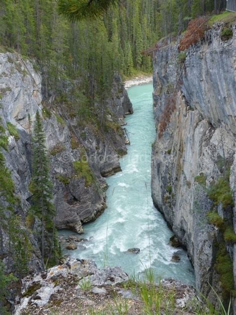 Sunwapta Falls Jasper National Park To Do Canada