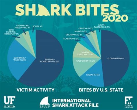 quick guide to the 2020 isaf annual report international shark attack file