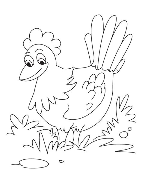 Download coloring pages for chickens and use any clip art,coloring,png graphics in your website, document or presentation. Hens coloring pages download and print for free