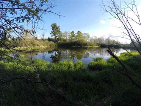Gilgo state park is an undeveloped park, featuring waterfront access to the atlantic ocean to the south, and great south bay to the north. Glimmerglass State Park - UPDATED 2017 Campground Reviews ...