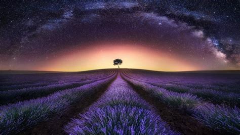Desktop Wallpaper Lavender Fields Sunrise Hd Image Picture