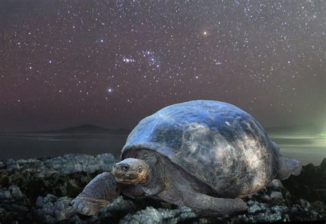 Astrophotography Blog Milky Way Over Galapagos Astrophotography