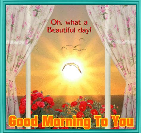 A Lovely Morning Ecard For You Cute Good Morning Images Good