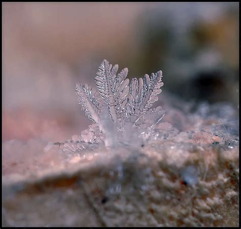 Remarkable Macro Photographs Of Ice Structures And Snowflakes By Andrew