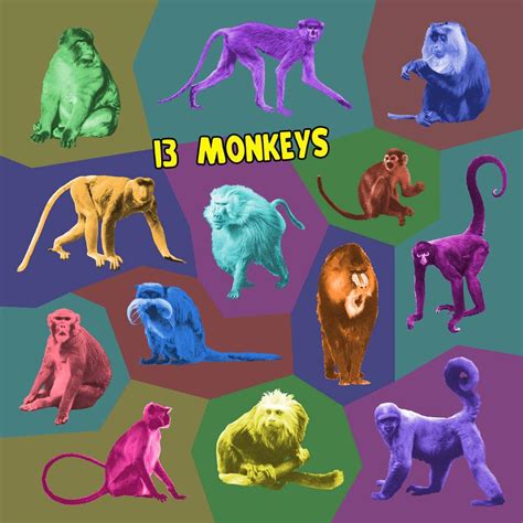 13 Monkeys