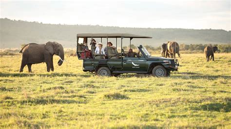 Masai Mara The Best Place For Safari Airways Office