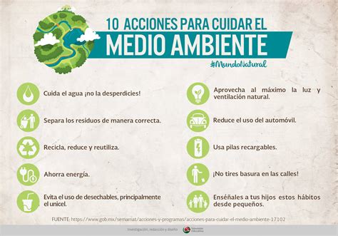 Infografia Sobre El Cuidado Del Medio Ambiente Baradas Images And