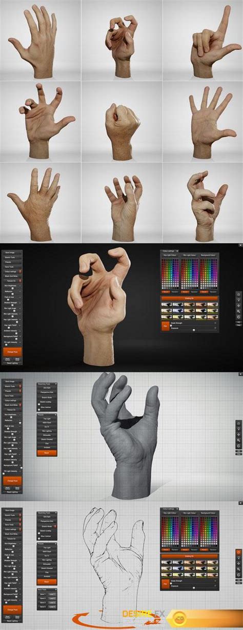 Desire Fx 3d Models Male Hands Pack