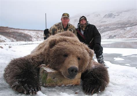 Kodiak Bear Hunting Alaska Larsen Bay Lodge Wzrost
