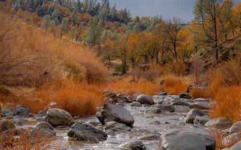 Download Wallpaper 1440x900 River Stones Trees Autumn Landscape Widescreen 1610 Hd Background