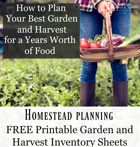 How To Plan Your Best Garden And Harvest For A Years Worth Of Food