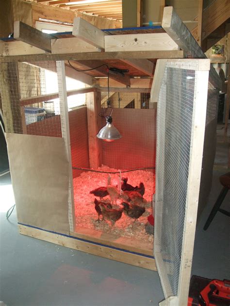 Pams Backyard Chickens New Brooder For Baby Chicks