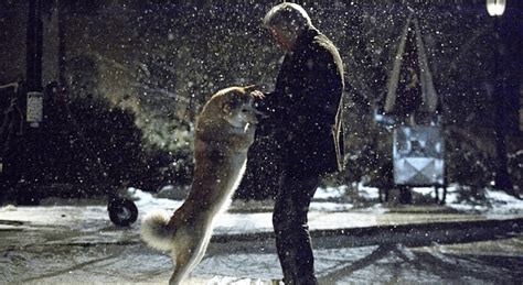 There is a statue of him at rhode island in the usa where the american version of the film was made. Hachiko - Il tuo migliore amico: Il Film Stasera su Canale 5