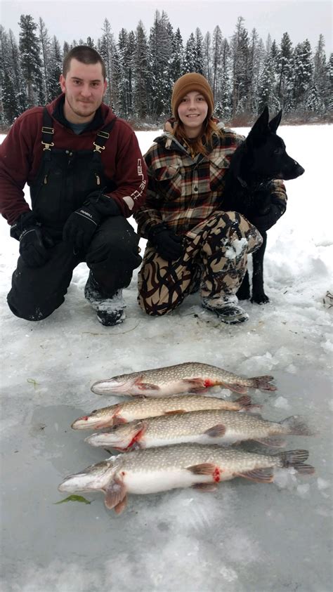 When an epson printer prints the nozzle check with missing lines, with white lines, with banding or. Pike Ice Fishing was Good on Seeley! | Montana Hunting and ...